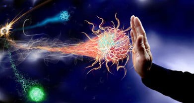 immunsystem ankurbeln